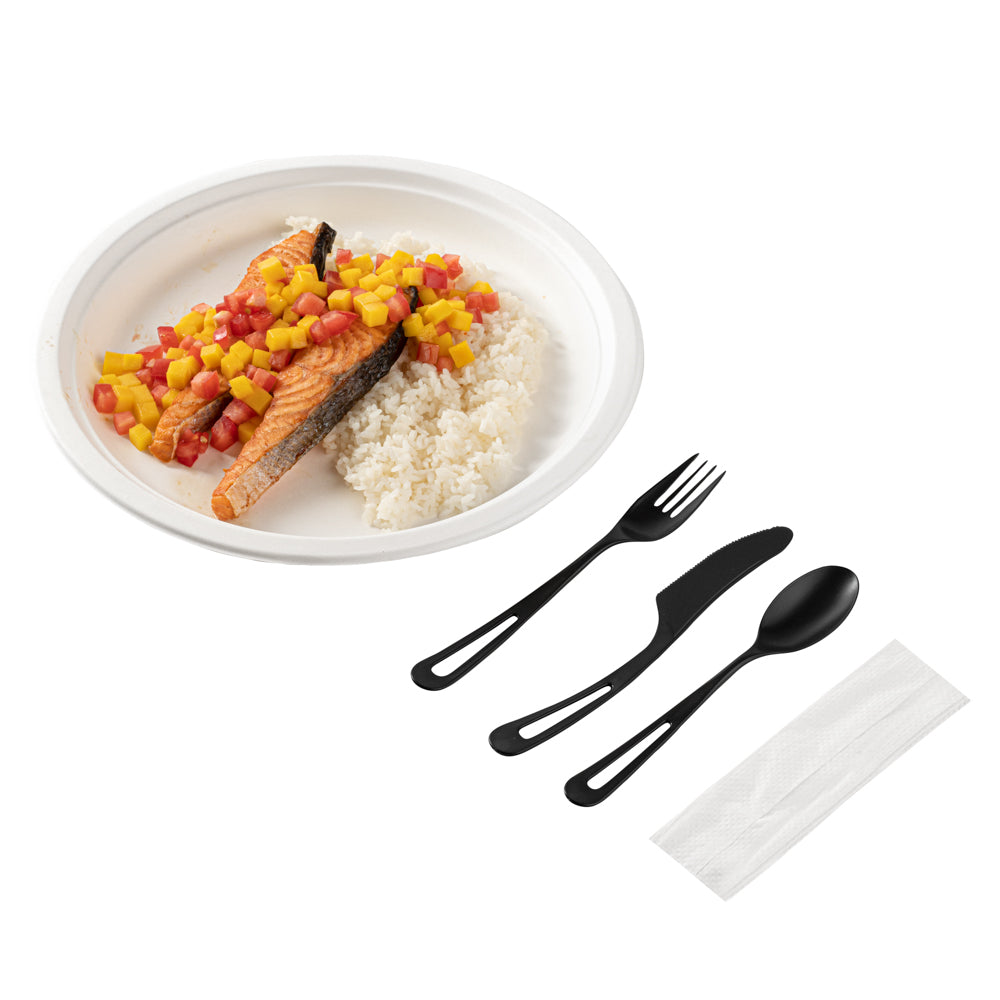 Basic Nature Black CPLA Plastic Spoon - Wrapped, Heat-Resistant - 6 1/2 -  250 count box