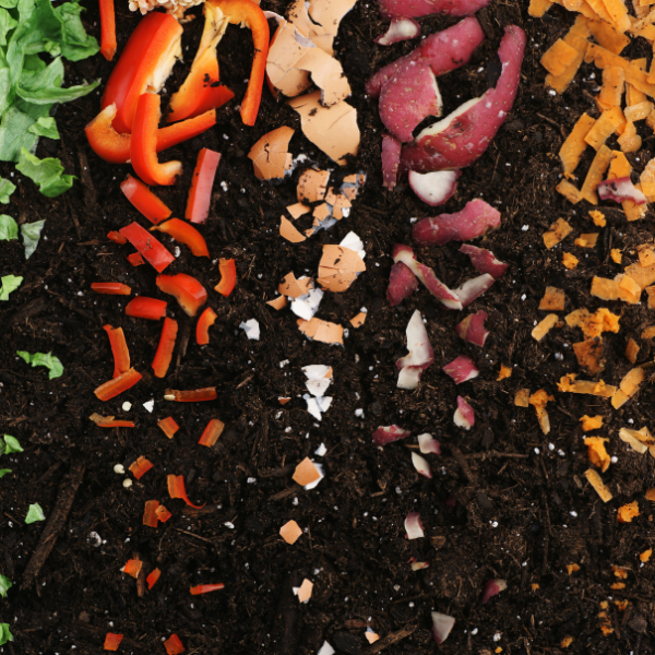 compost