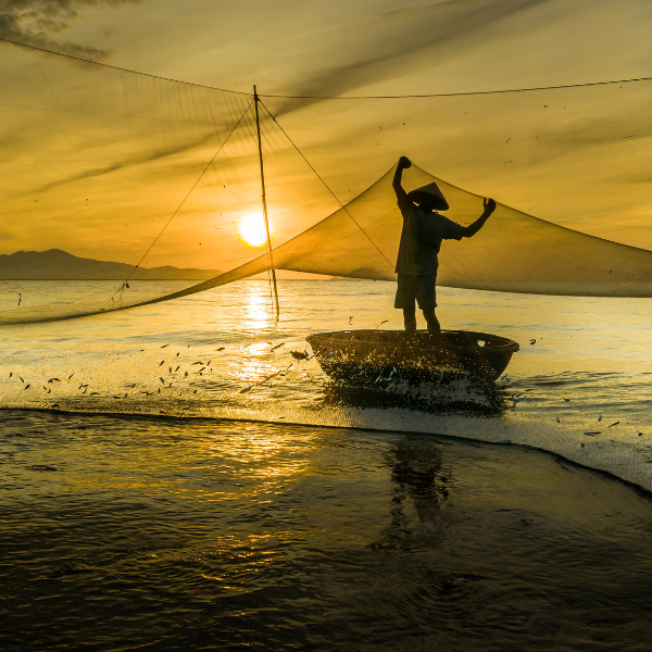 a man is fishing