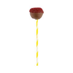 Yellow Paper Cake Pop and Lollipop Stick - Spirals, Biodegradable - 6